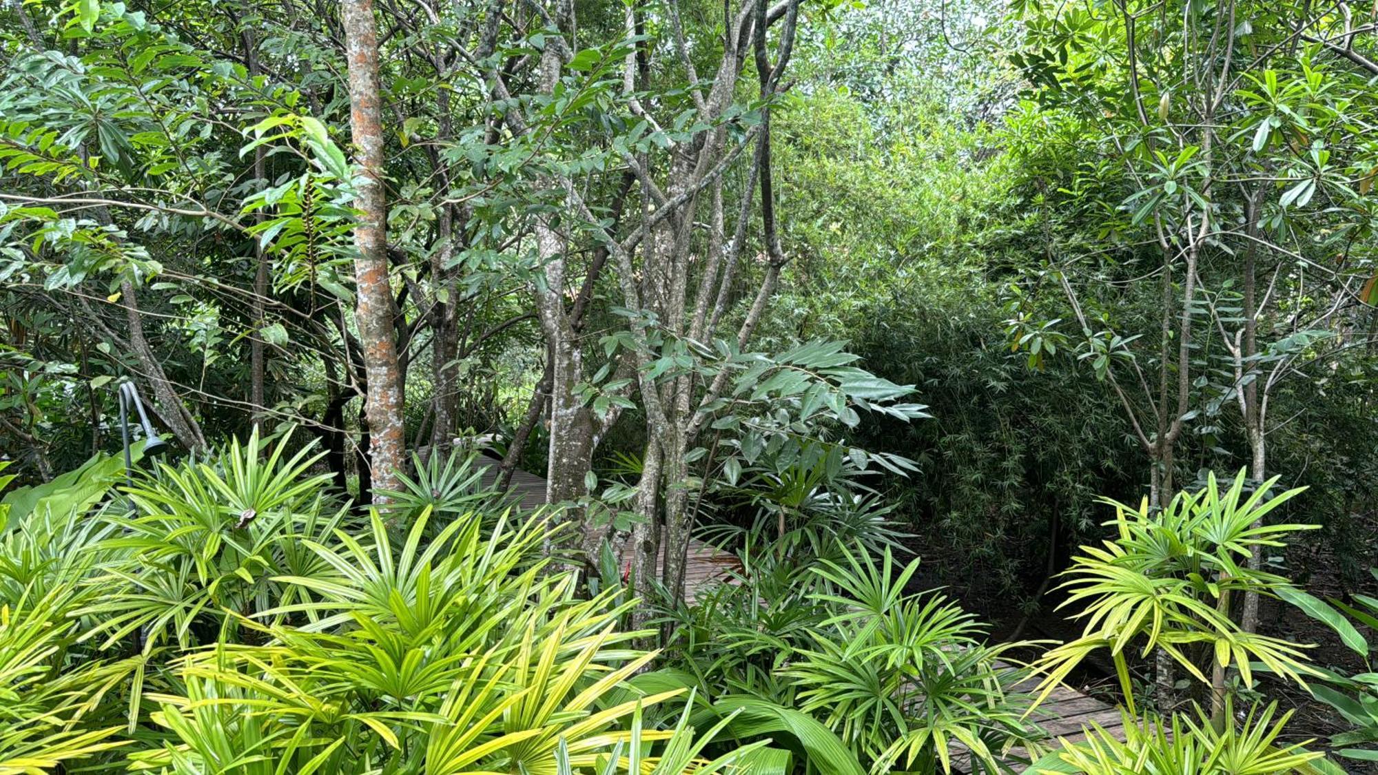 Ginganga Lodge Ґалле Екстер'єр фото